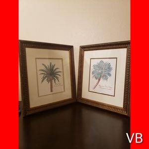 Decorative Framed Palm Tree Artwork Set of 2.